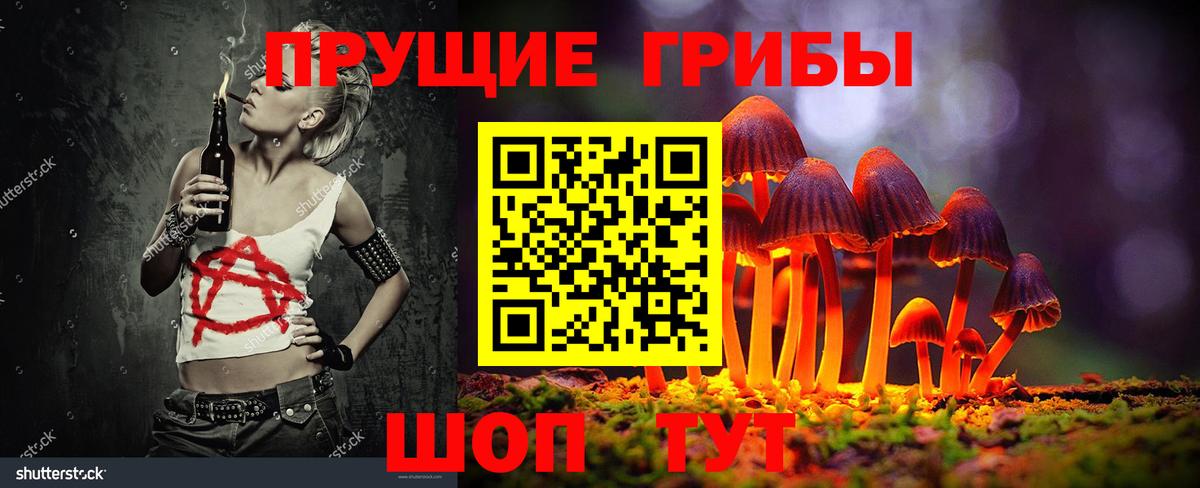 Галлюциногенные грибы прущие грибы  Вход с VPN  Россошь 