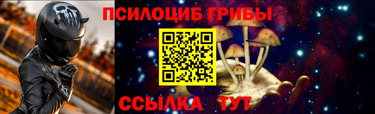 Галлюциногенные грибы Psilocybe Россошь